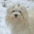 Click for a larger version of Chloe`s photo