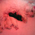 Click for a larger version of this photo